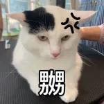 辛苦了!