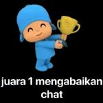 pocoyo
