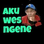 Saya dari Jawa（2）