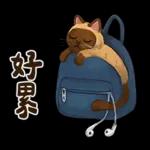 躲貓貓3-貓咪小插畫