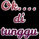 lucu lucu