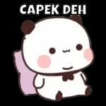 TIDUR SAYANG DH MALEM