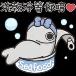 喵星人驾到