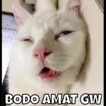 HATI HATI
di jalan
SEMOGA SELAMAT
sampai tujuan
aamiin...