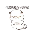 什麼風把你吹來啦？