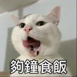 樂狗有話兒~~知我咩料啦