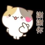 可愛貓貓❤貼心日常❤7
