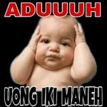 yyu