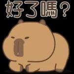 私貨動物園 咔屁大澡堂