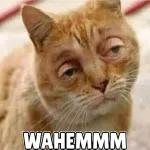 One ticket to Barbie please.