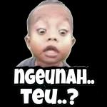 ini bocah pasti goblok