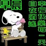 萌宠sticker 11271🥰