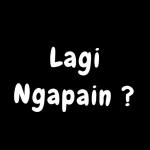 makasih buat infonya