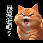 什麼？！真的嗎？我唔信