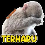 TERHARU