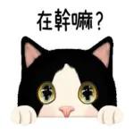 唉～算了，隨便你吧。我已經放棄掙扎了