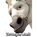 SAKAREPMU