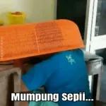 citra populer