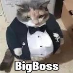 BigBoss