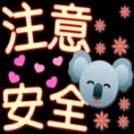 安 意全 注意 * ●**