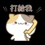 可愛貓貓❤貼心日常❤7