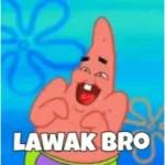 bacot