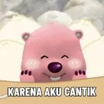 berang-berang kecil   loopy