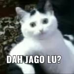 ini bocah pasti goblok