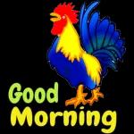 Good Morning