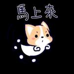 爱你哟   ❤️❤️
