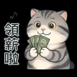 貓系列(4)-灰色虎斑貓