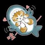 鲨鱼合金