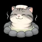 貓系列(4)-灰色虎斑貓