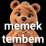 Kontol memek ngentot ewe