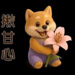 可愛柴犬⭐日常實用