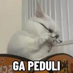 Kucing lucu🐱