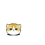 高溫預警🥵	注意防曬哦🤗