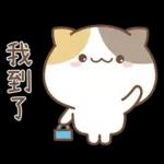 可愛貓貓❤貼心日常❤7
