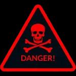 SANTAI ANJING funnydogsite.co