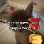 MASAAAA
