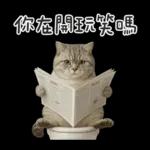 廁所貓貓✩別吵!我在用力✩