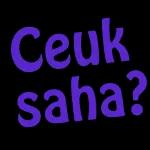 paket pintar