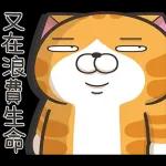 lazycat-25n