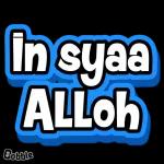 kok nggak dibales