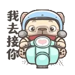 飛馬過來咬我