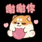 啊啊啊啊組貼圖真係好可愛😍
