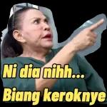 SIAP!!!
