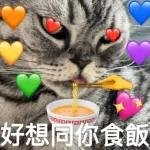 「甜蜜日常 🌼🌟」