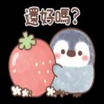 🦭暖心小棉襖🐧 
