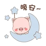 大家好13